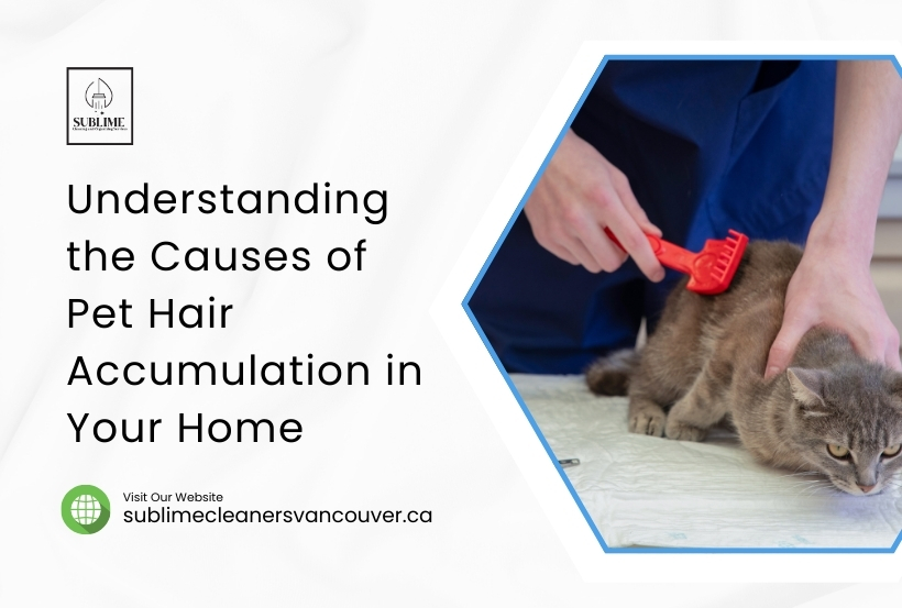 Tips for Pet Hair Removal